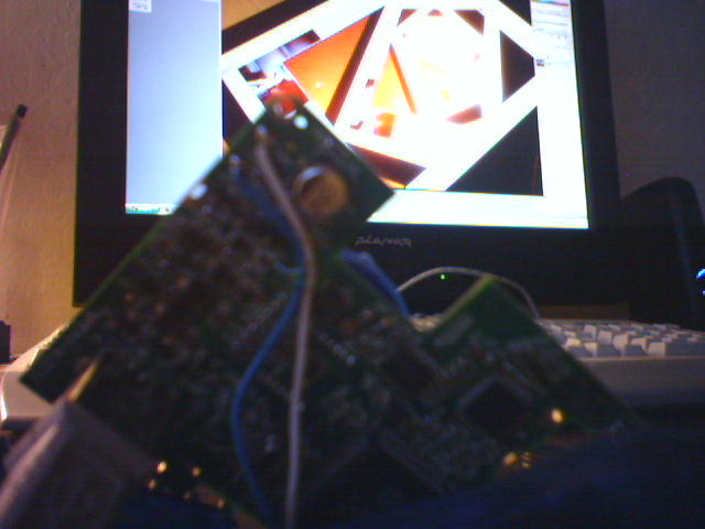 if webcams were cats....