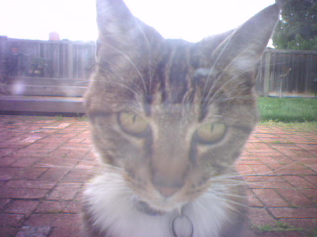 what are you looking at?