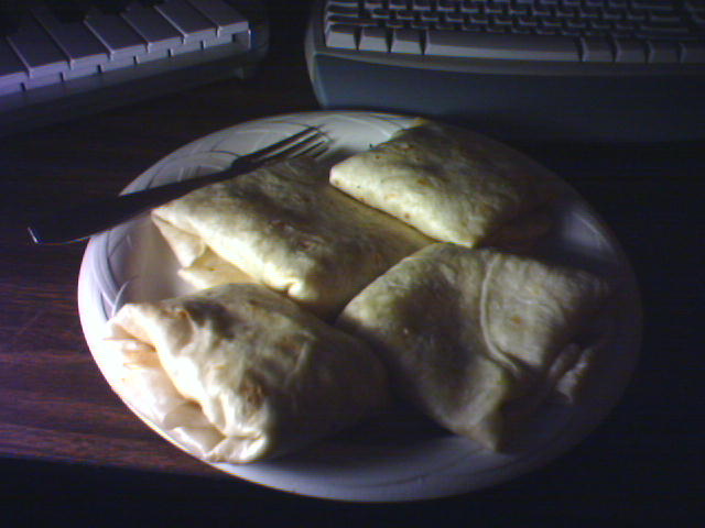 chipotle faji-tiles -- heat tiles? like on the shuttle?