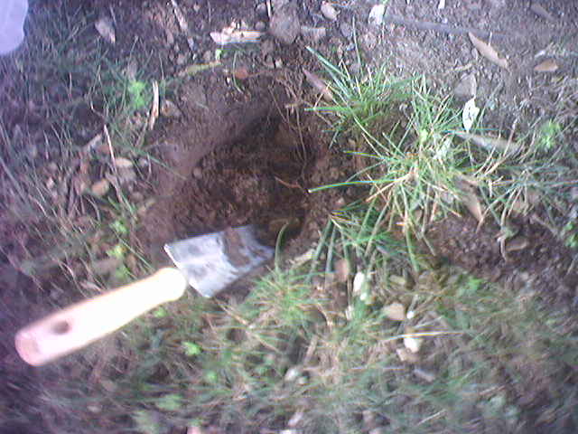 digging in the dirt, it's a boy thing