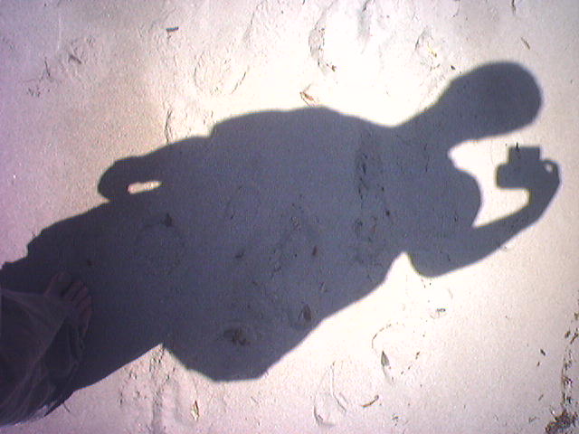 the camera is ALWAYS aligned in these pictures....