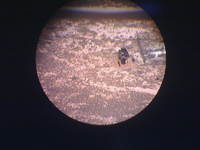 telescope sniping