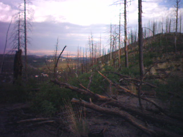 The Mountain that Called to ME