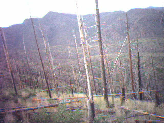 The Mountain that Called to ME