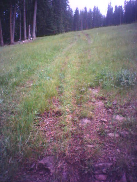 Pajarito Mountain Ski Adventure