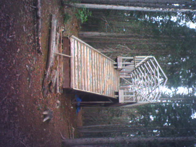 Pajarito Mountain Ski Adventure