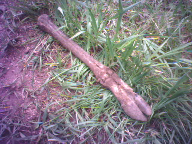 Pajarito Mountain Ski Adventure