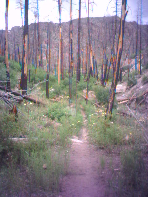 Guaje Ridge Adventure