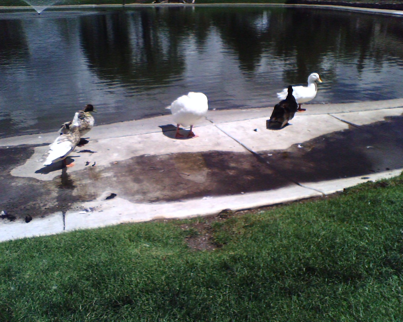 Outer Perimeter Adventure