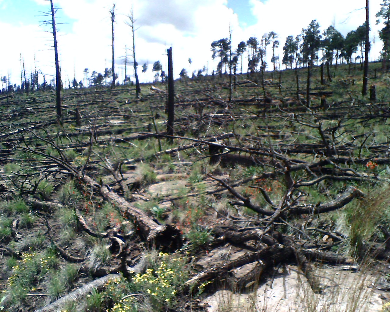 Outer Perimeter Adventure