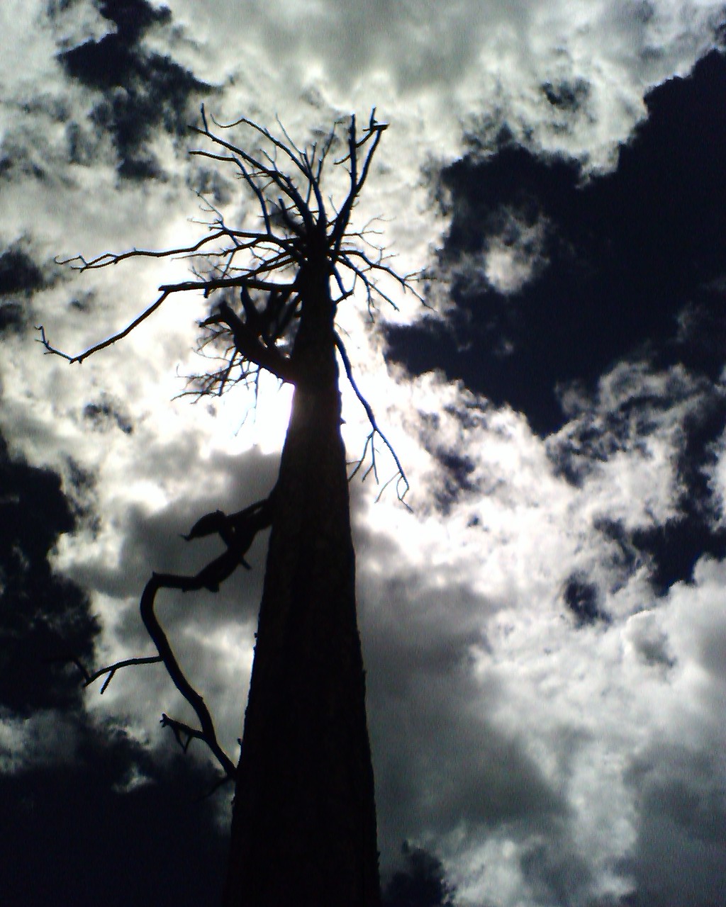 Outer Perimeter Adventure