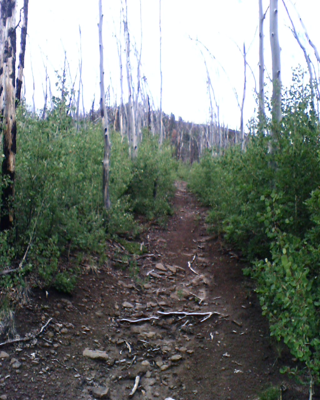 Outer Perimeter Adventure