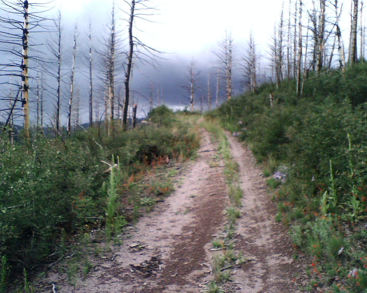 Outer Perimeter Adventure