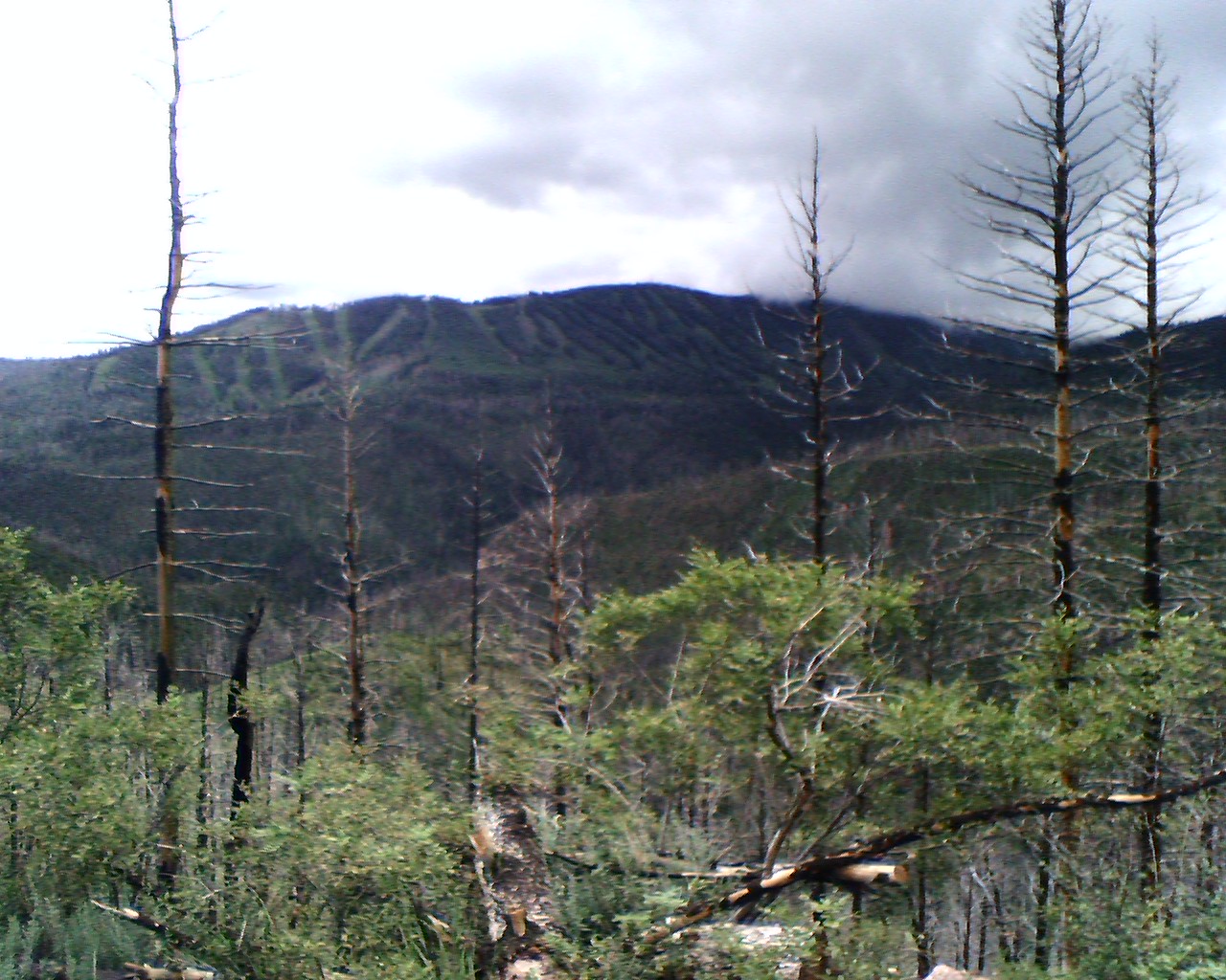 Outer Perimeter Adventure