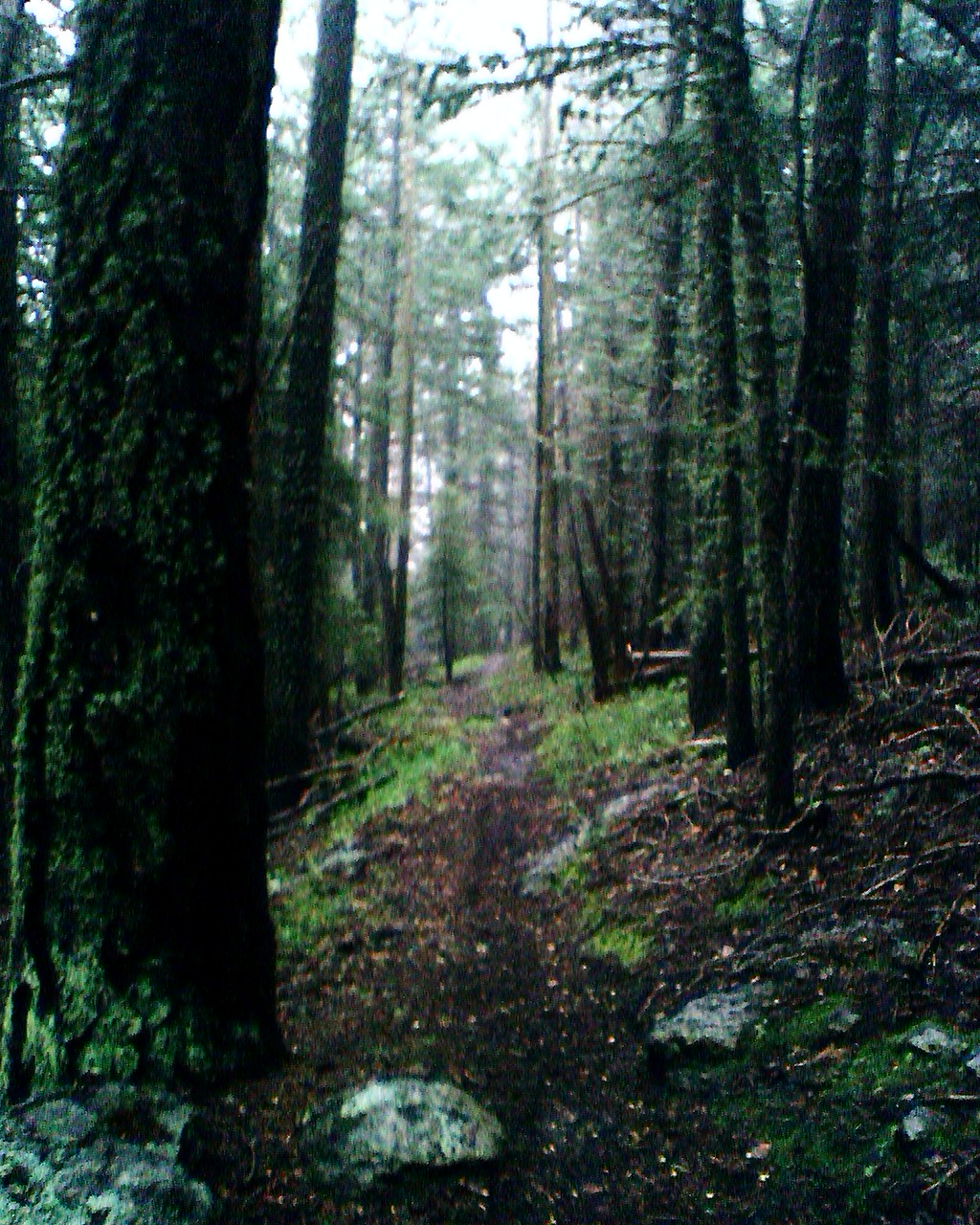 Outer Perimeter Adventure