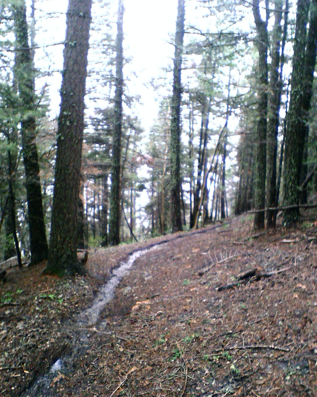 Outer Perimeter Adventure