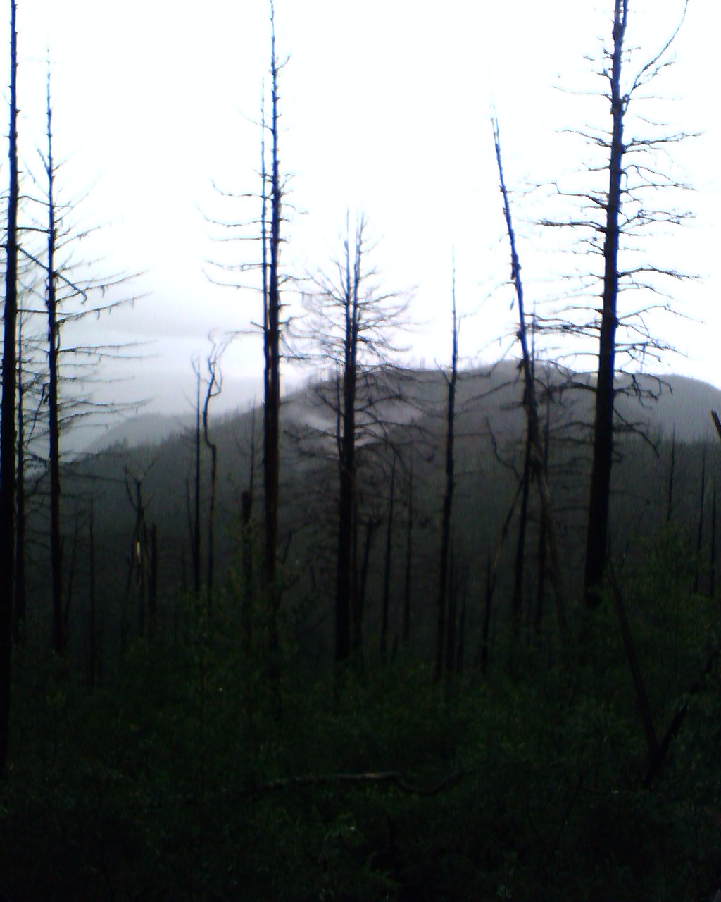 Outer Perimeter Adventure