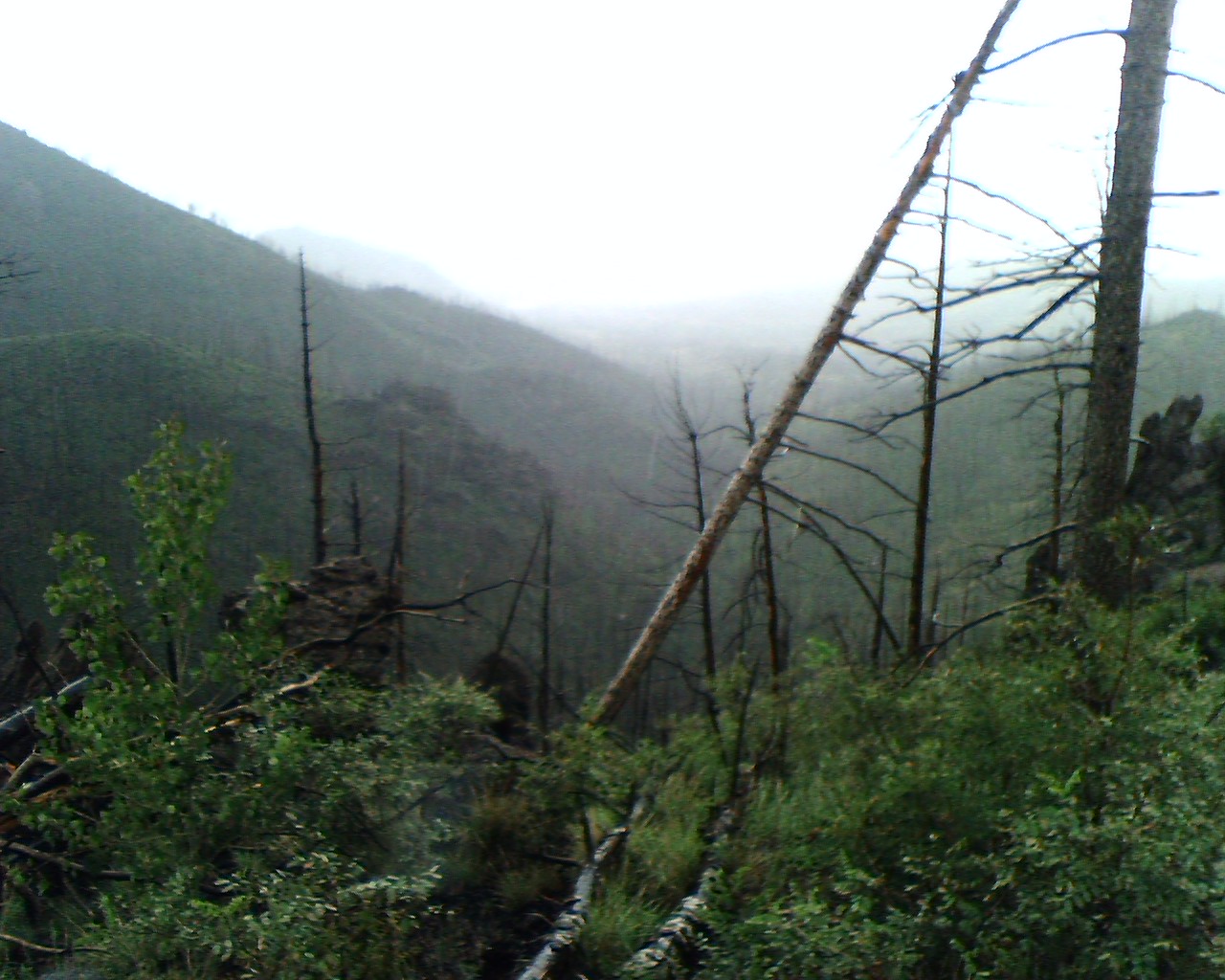 Outer Perimeter Adventure