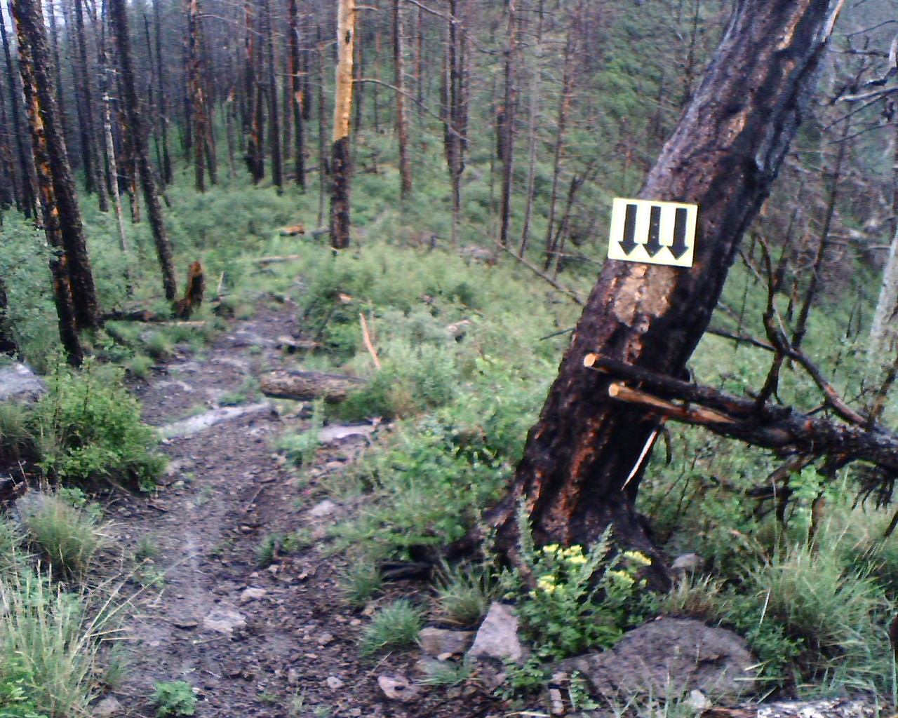 Outer Perimeter Adventure