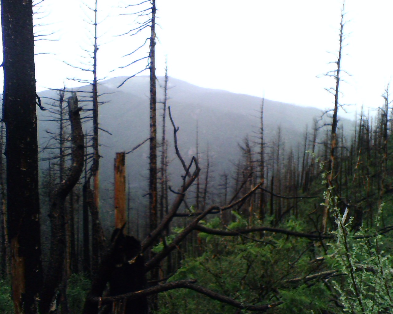 Outer Perimeter Adventure