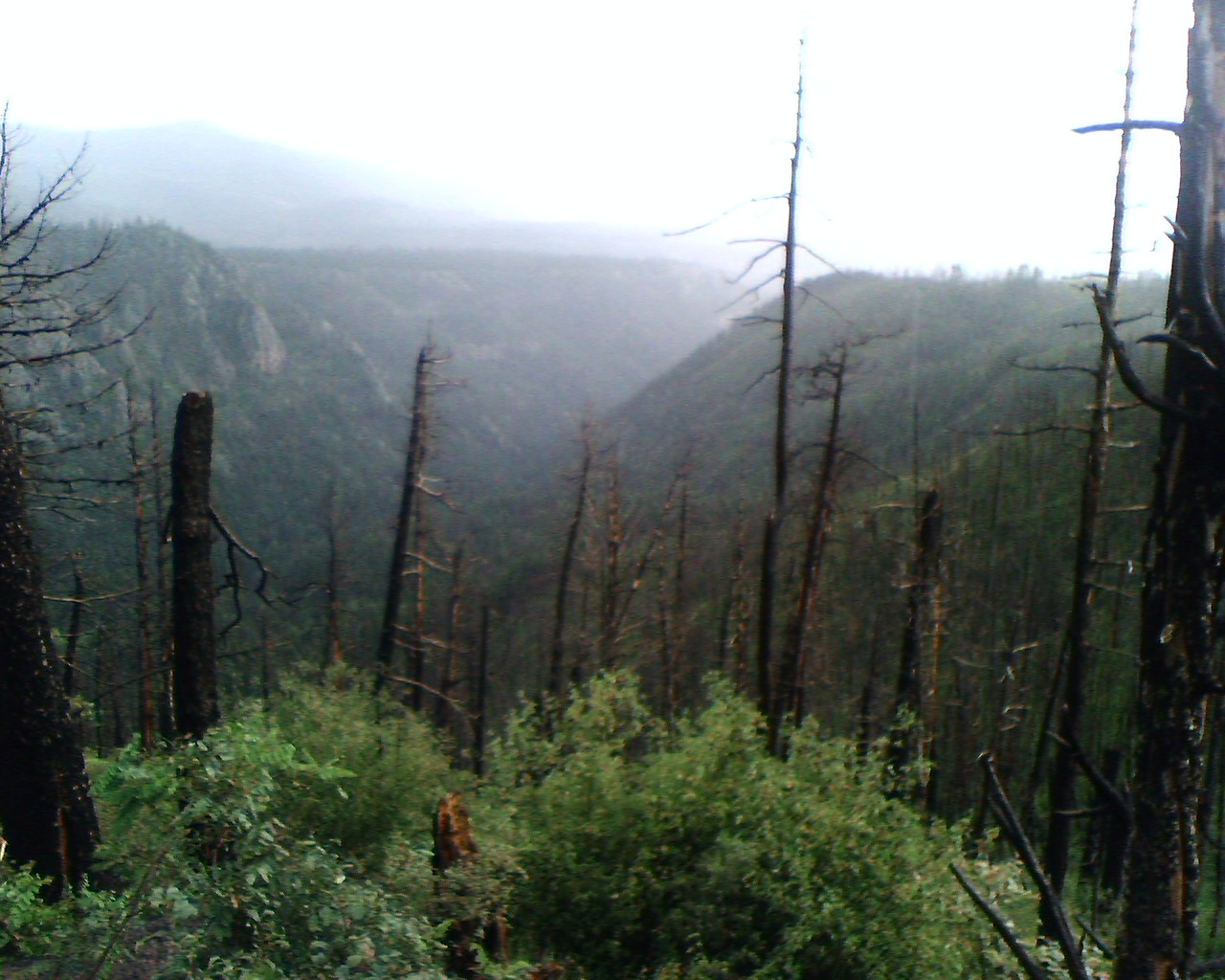 Outer Perimeter Adventure