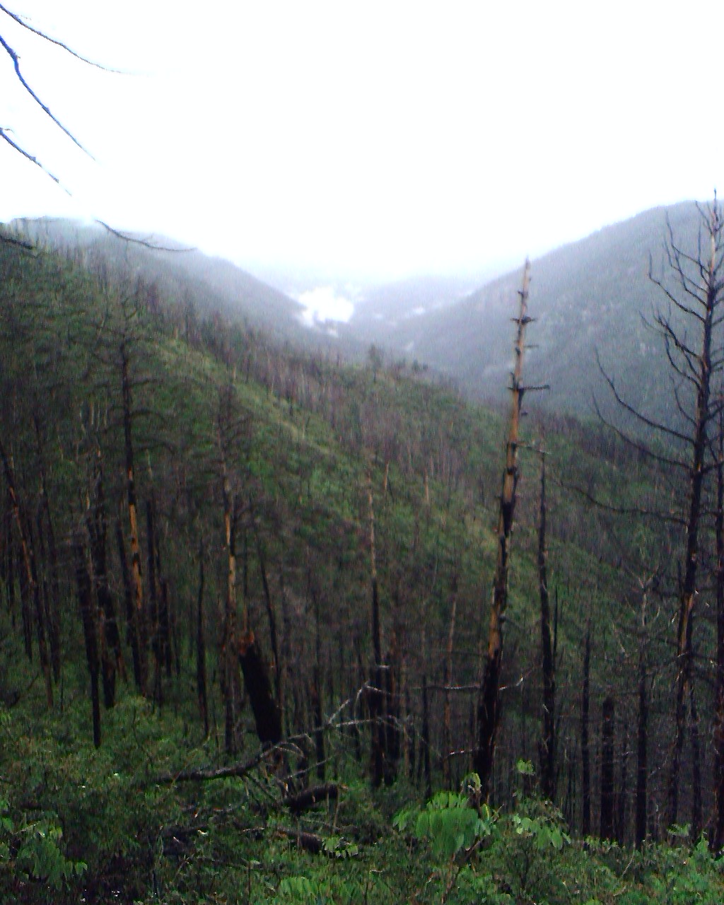 Outer Perimeter Adventure