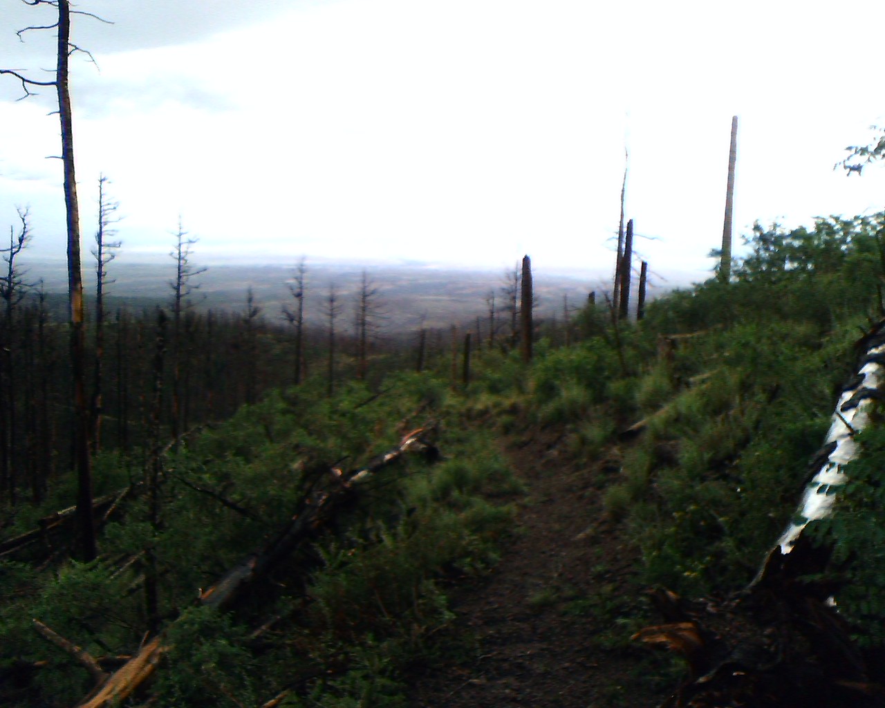 Outer Perimeter Adventure