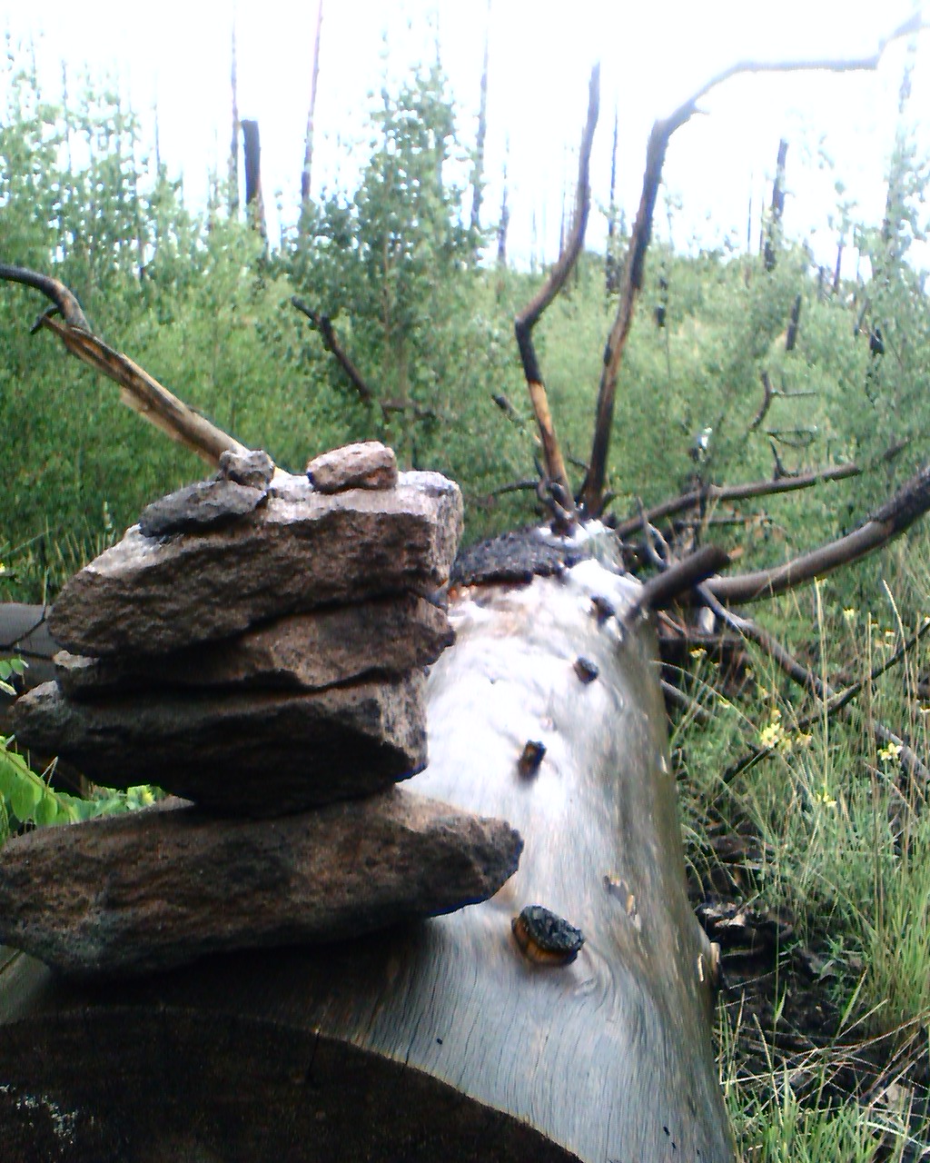 Outer Perimeter Adventure