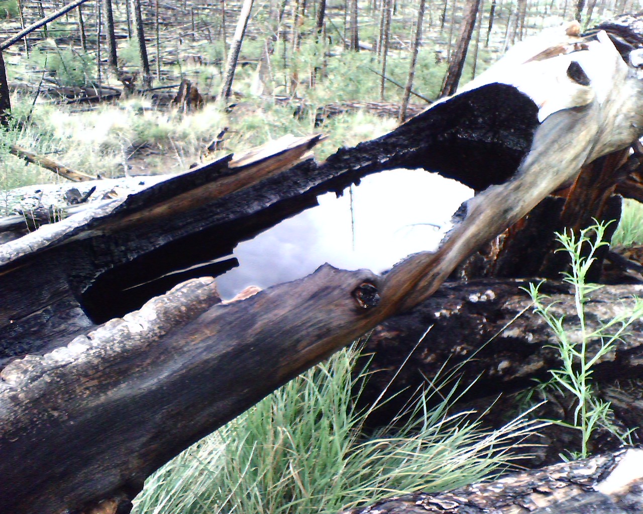 Outer Perimeter Adventure