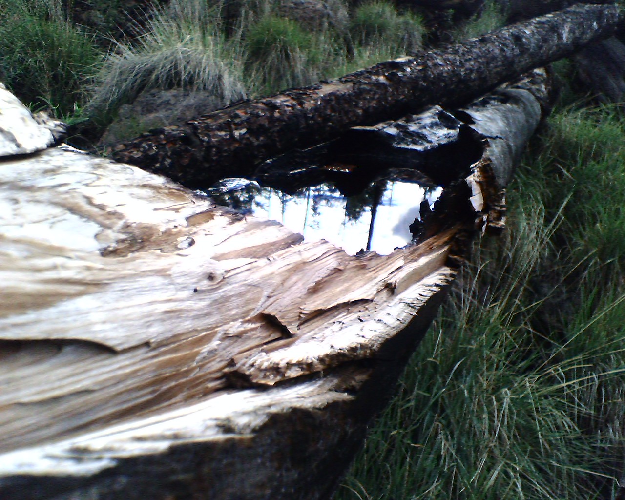 Outer Perimeter Adventure