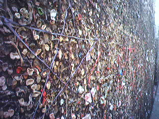 bubblegum alley