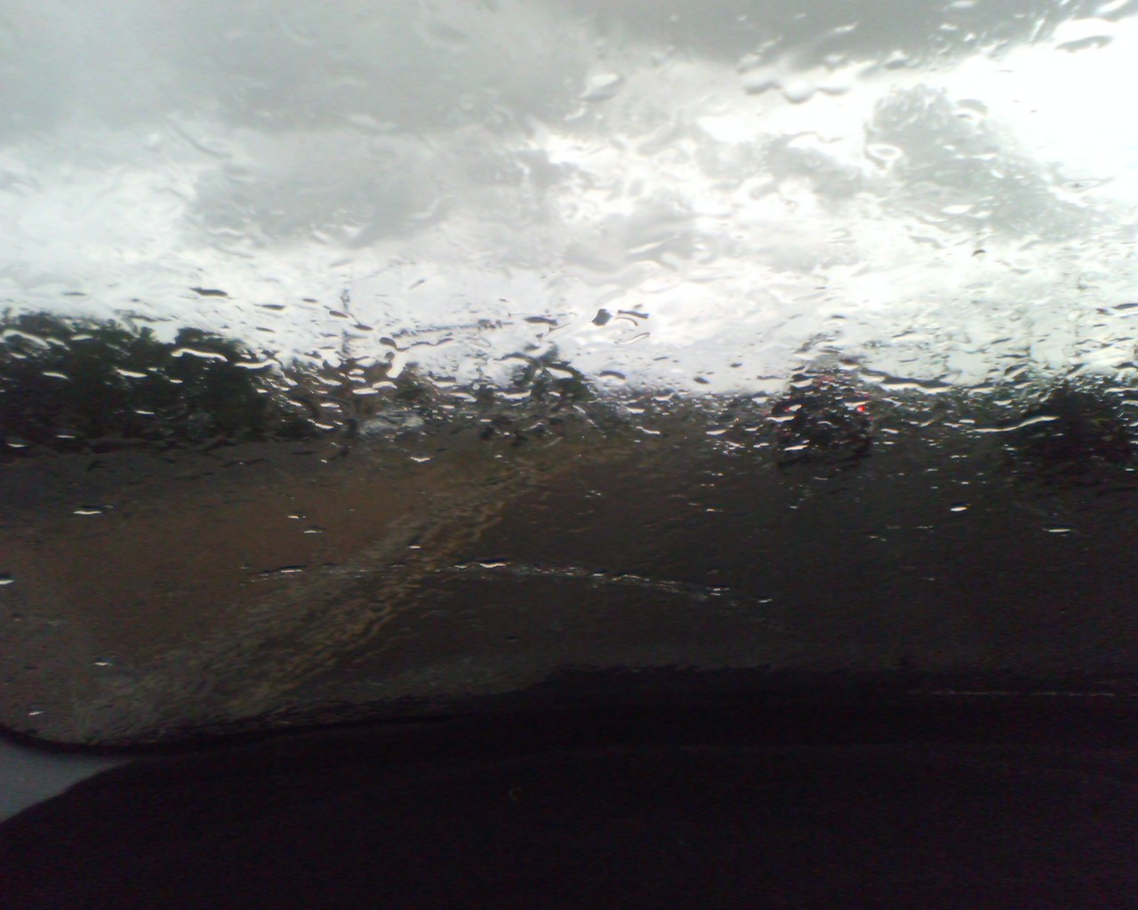 trying to got ma snakes on in this crazy storm