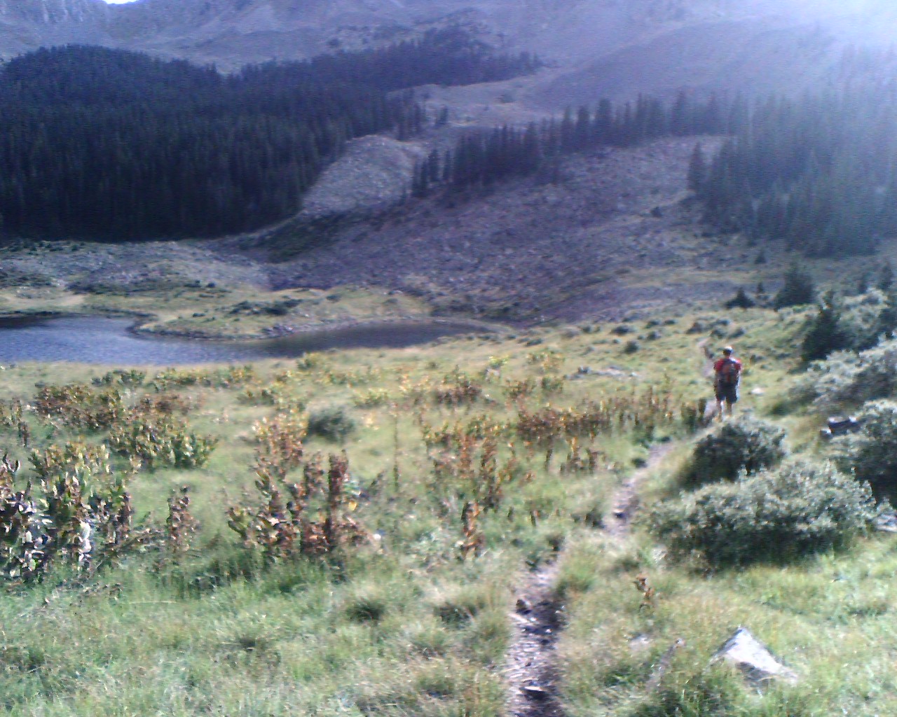 right near the timberline