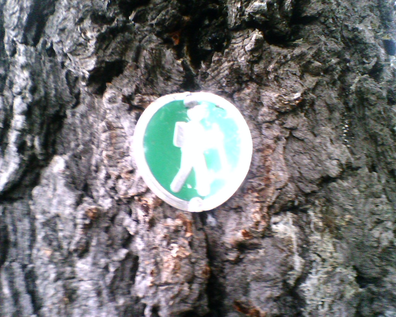 Sandia Peak Adventure