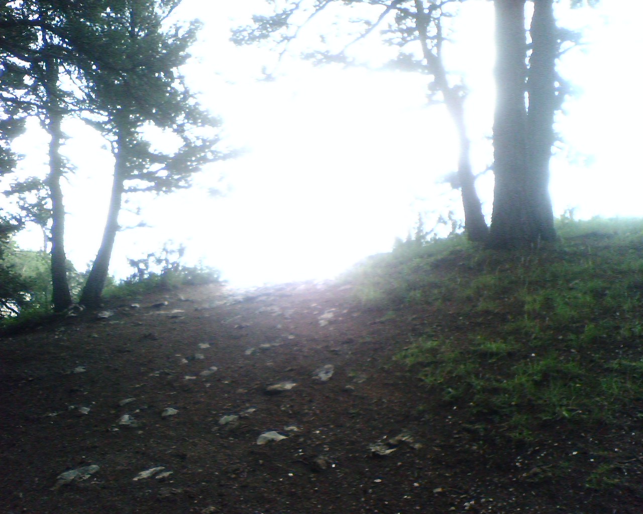 Sandia Peak Adventure