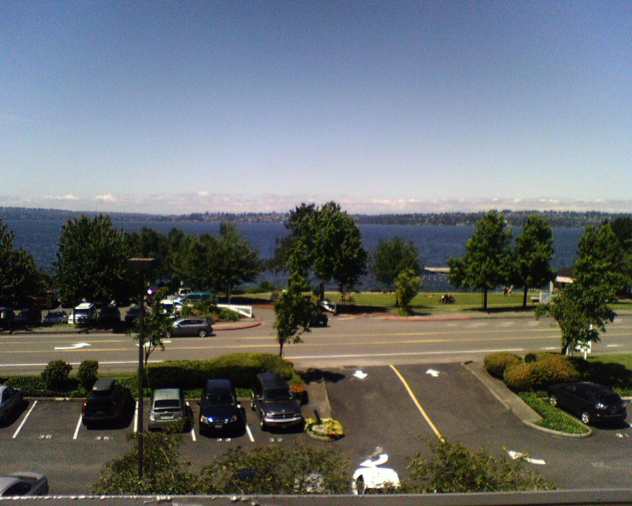 view from patio outside of my office