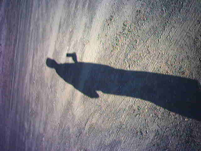 shadow