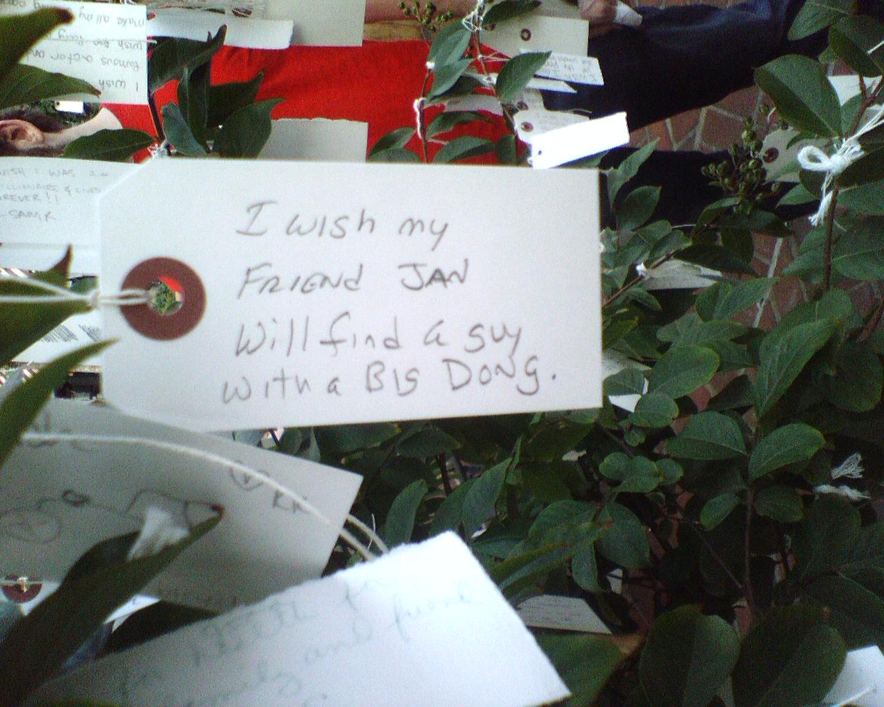 wishing tree in old pasadena