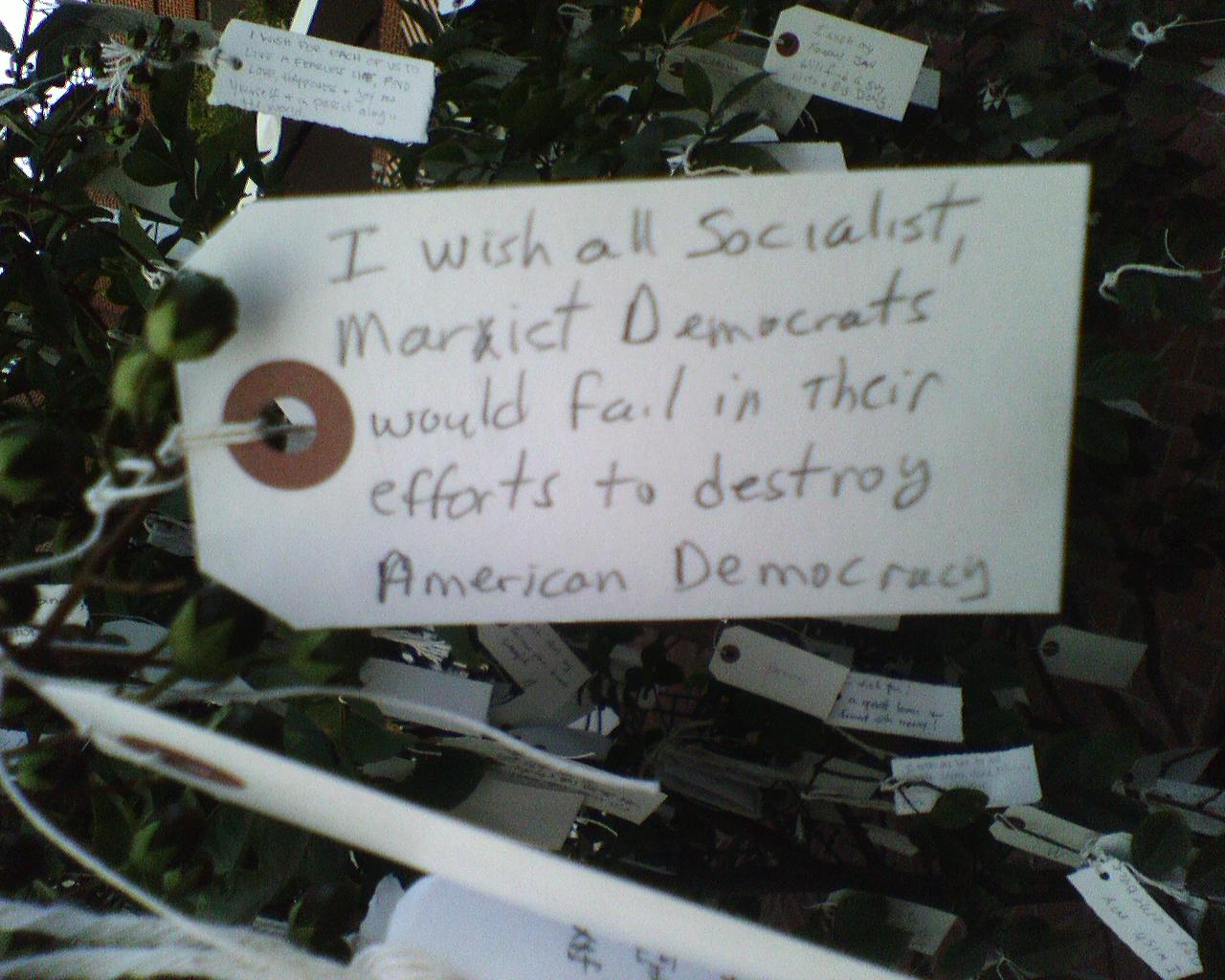 wishing tree in old pasadena