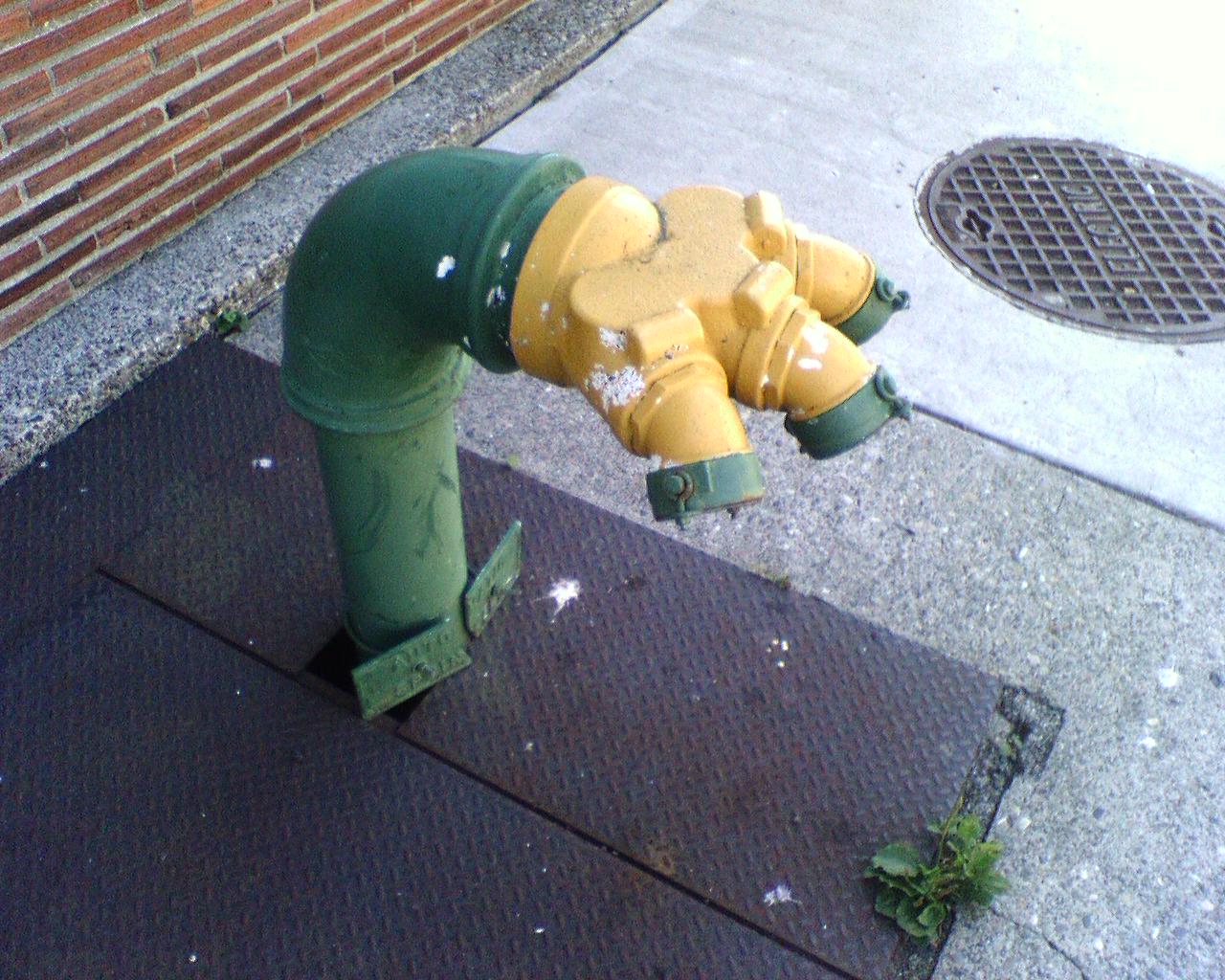 spore pipe creature?