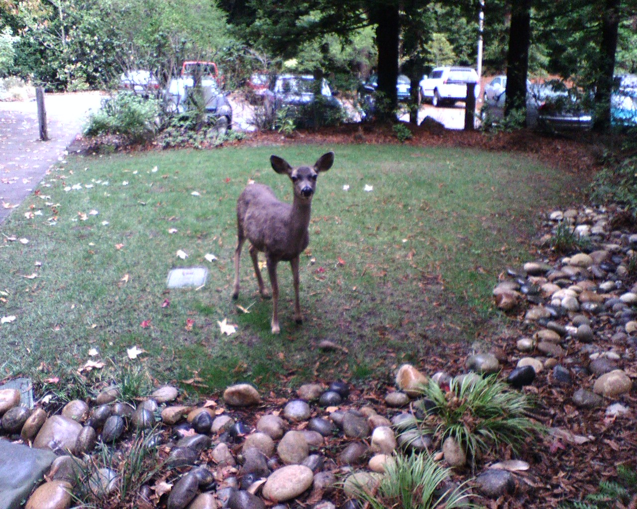 traffic on the way to class
