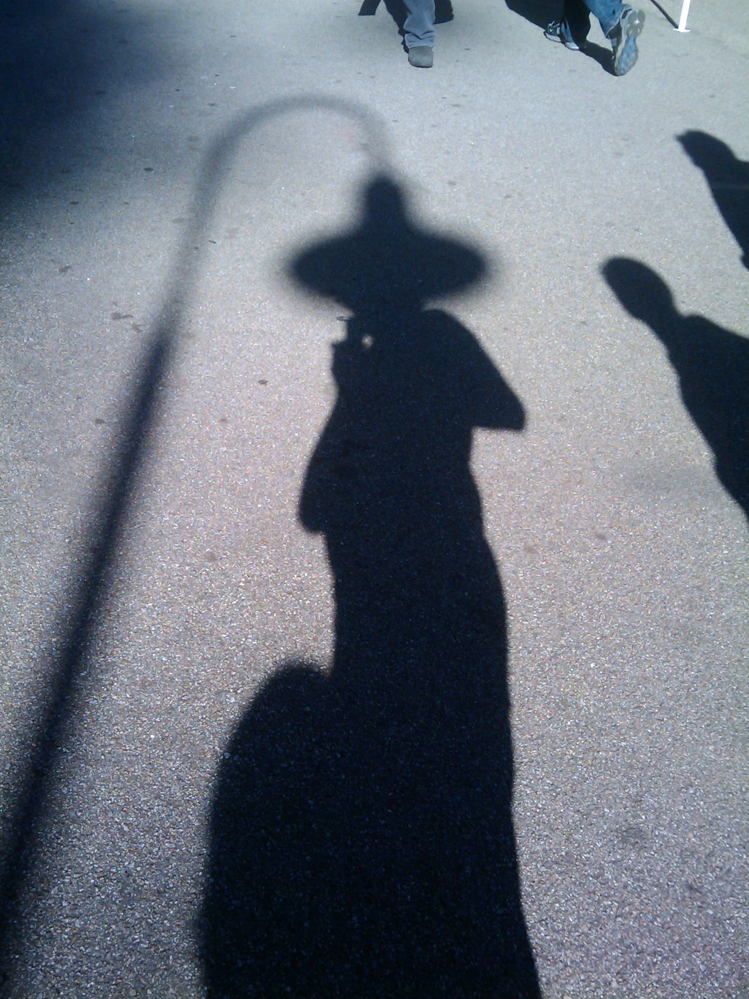 shadow hat