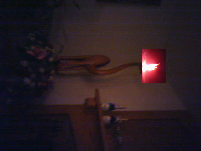 the camel is on fire