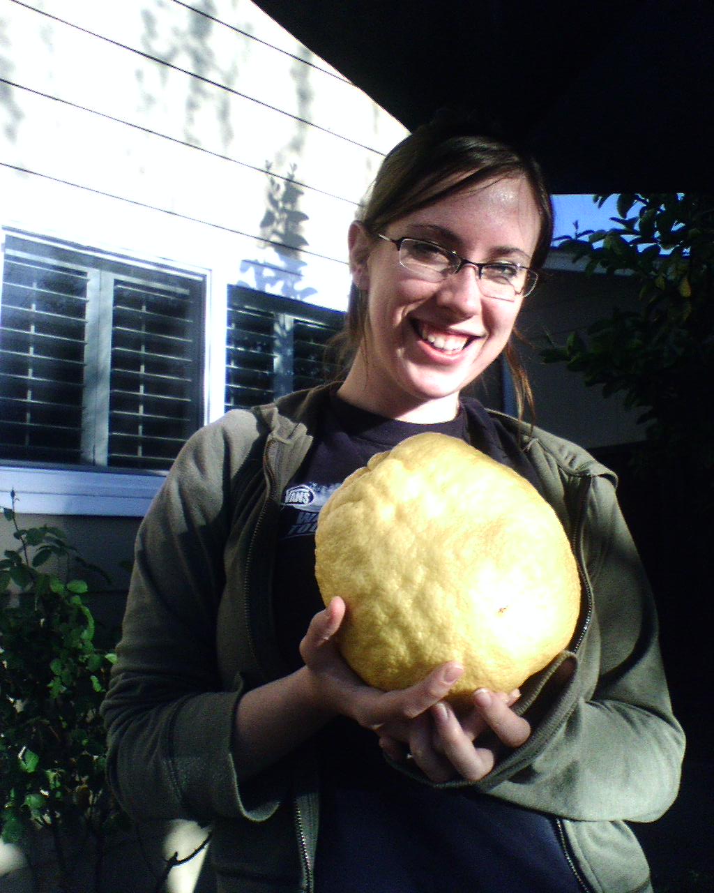 huuge lemon from a tree in my back yard