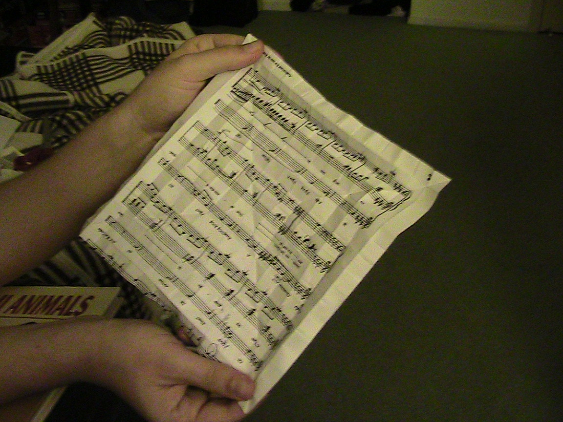 accordian pleat unfolded