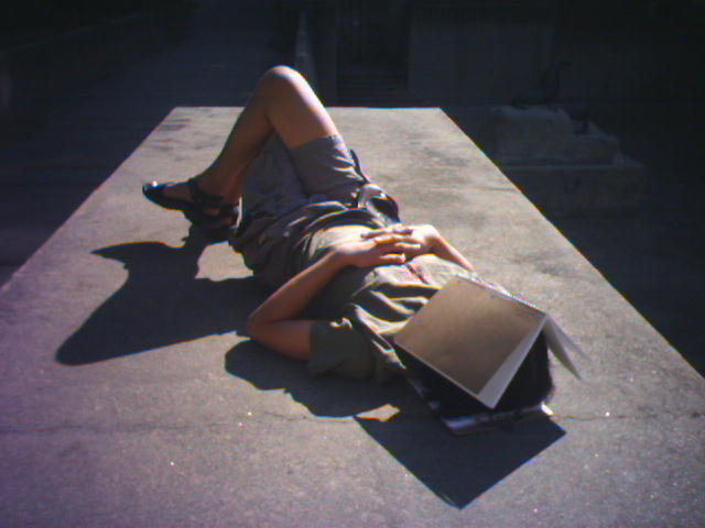 nic takes a quiz... er, nap