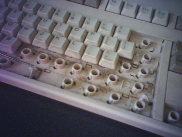 I am become dentist, puller of teeth.