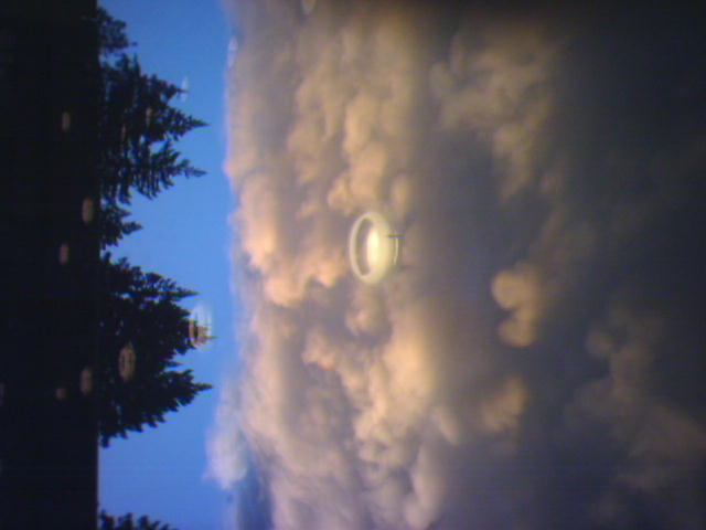 looks fake in real life