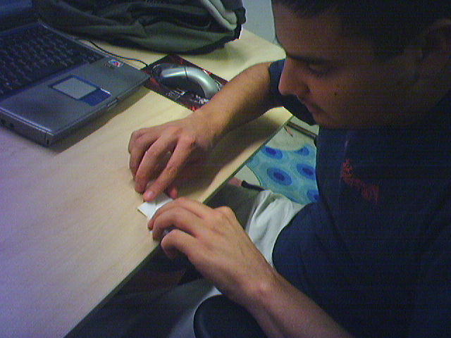 employing an army of monkies to speed the process