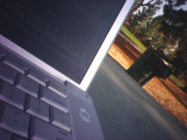 hacking at the park